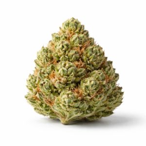 Critical X